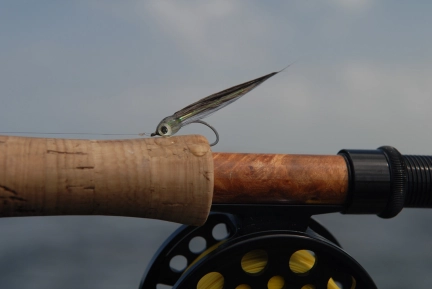 Garfish Miracle Garfish Miracle