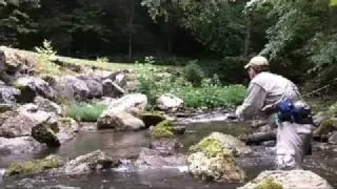 Video thumb for Smoky Mountain Fly Fishing