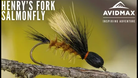 Video thumb for Henry's Fork Salmonfly