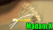 Video thumb for Madam X
