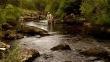 Video thumb for A Day on Dartmoor