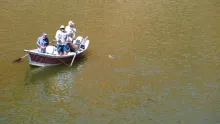 Video thumb for Cicadas & Cruising Carp