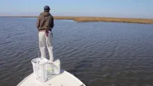 Video thumb for Marsh 2011-2012
