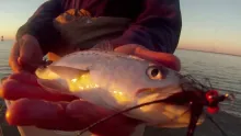 Video thumb for Harkers Island 101