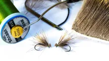 Video thumb for CDC & Elk