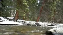 Video thumb for Fly Fishing Small Creeks