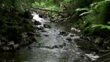Video thumb for Trout Fishing Navarre