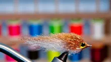 Video thumb for EP Style Minnow