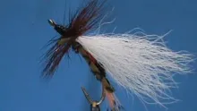 Video thumb for Royal Coachman Madam X 