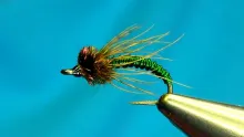 Video thumb for Copper Caddis Larva
