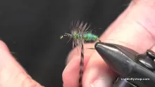 Video thumb for McKenzie Caddis