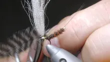 Video thumb for CFF extended body mayfly dun