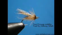 Video thumb for Diving caddis