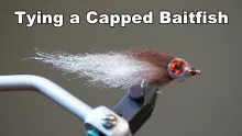 Video thumb for Capped Baitfish
