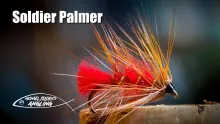 Video thumb for Soldier Palmer