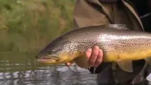 Video thumb for The Source - Iceland