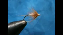 Video thumb for Tups indispensable flymph