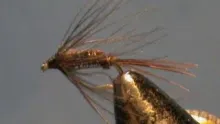 Video thumb for Pheasant Tail Flymph