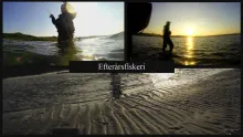 Video thumb for Sea trout fishing in the fall