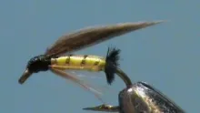 Video thumb for The Imbrie, a Classic Wet Fly