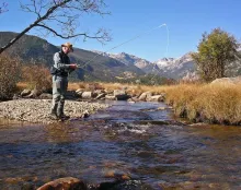 User submitted picture: Decisions, decisions!  Pi...