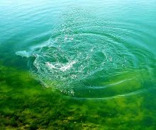 User submitted picture: At the end of the thread 