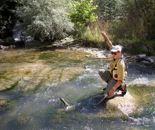 User submitted picture: Flamenco