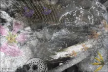 User submitted picture: This image is the result ...