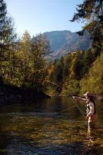 User submitted picture: Indiansummer in Austria! ...
