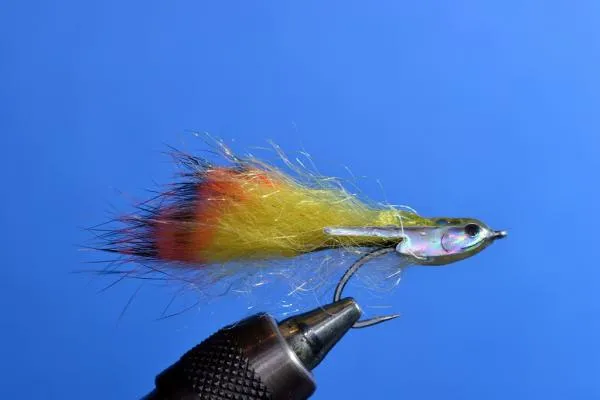 User submitted picture: Streamer for brook trout