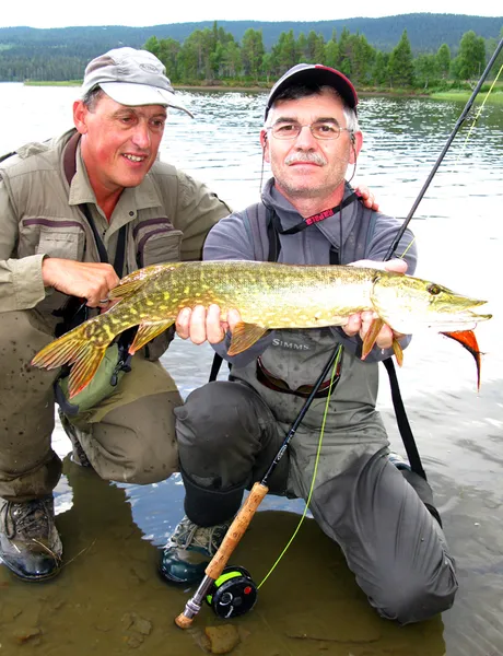 User submitted picture: "Greetings from Pikeland...