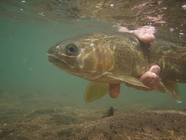 User submitted picture: Winter Rainbow Released