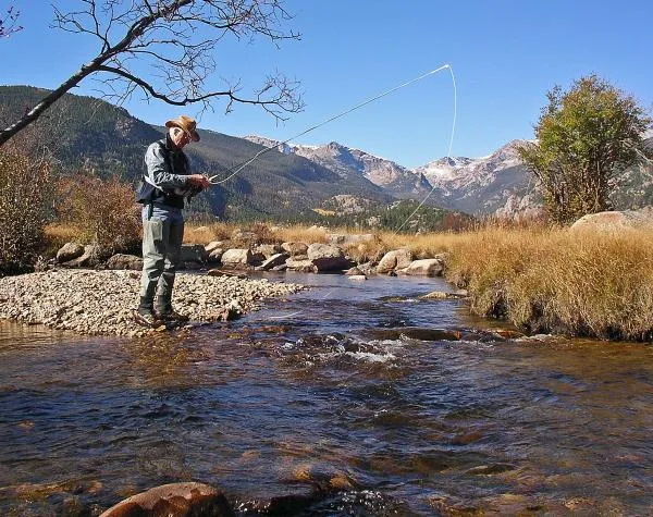 User submitted picture: Decisions, decisions!  Pi...