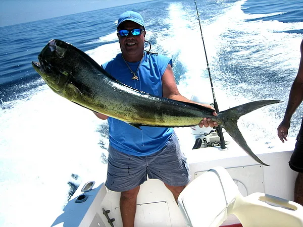 User submitted picture: Large Douphn caught in th...