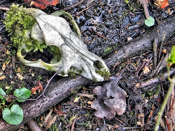 User submitted picture: ...from dust to dust...