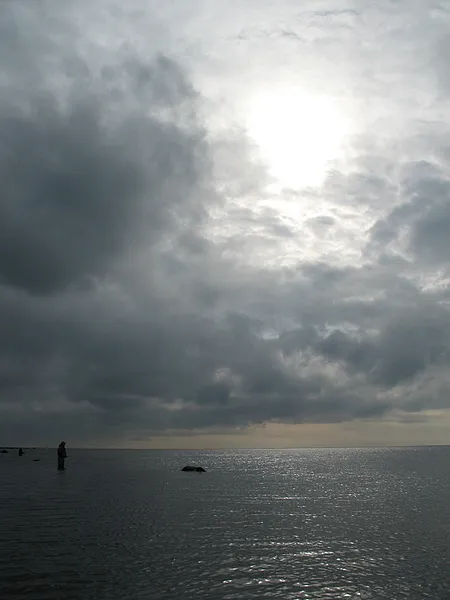 User submitted picture: Kasper in a great setting