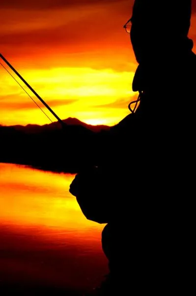 User submitted picture: no comment