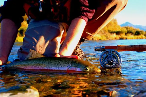 User submitted picture: oreti rainbow 