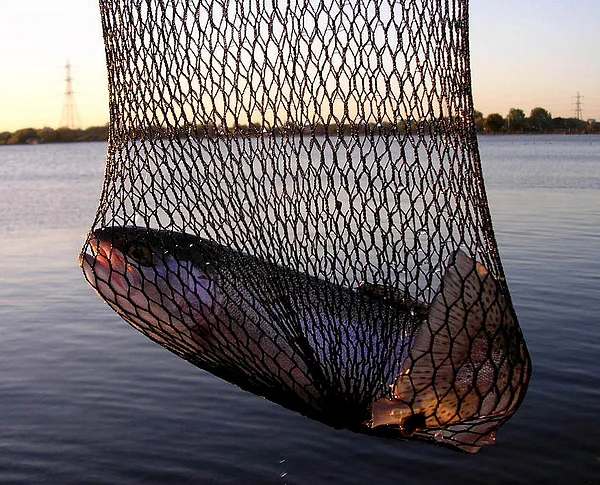 User submitted picture: Urban raibow