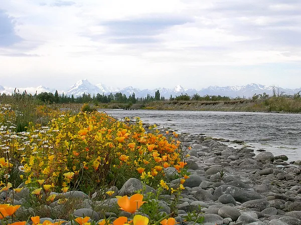 User submitted picture: Mt Cook in the background...