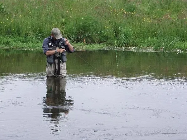 User submitted picture: Where's that darn tippet...