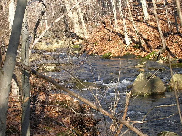 User submitted picture: A Wild Trout Stream in Ja...