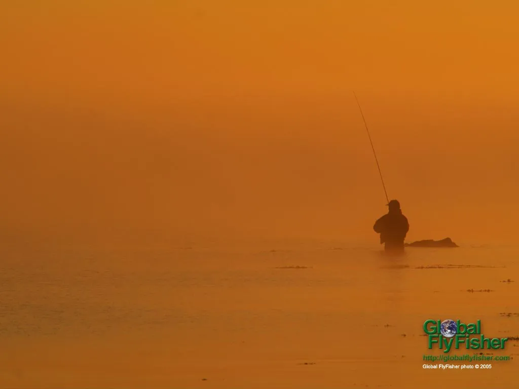 Computer screen wallpaper: Angler in the morning mist